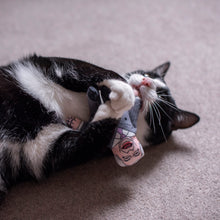 Load image into Gallery viewer, Nigel Farage cat toy