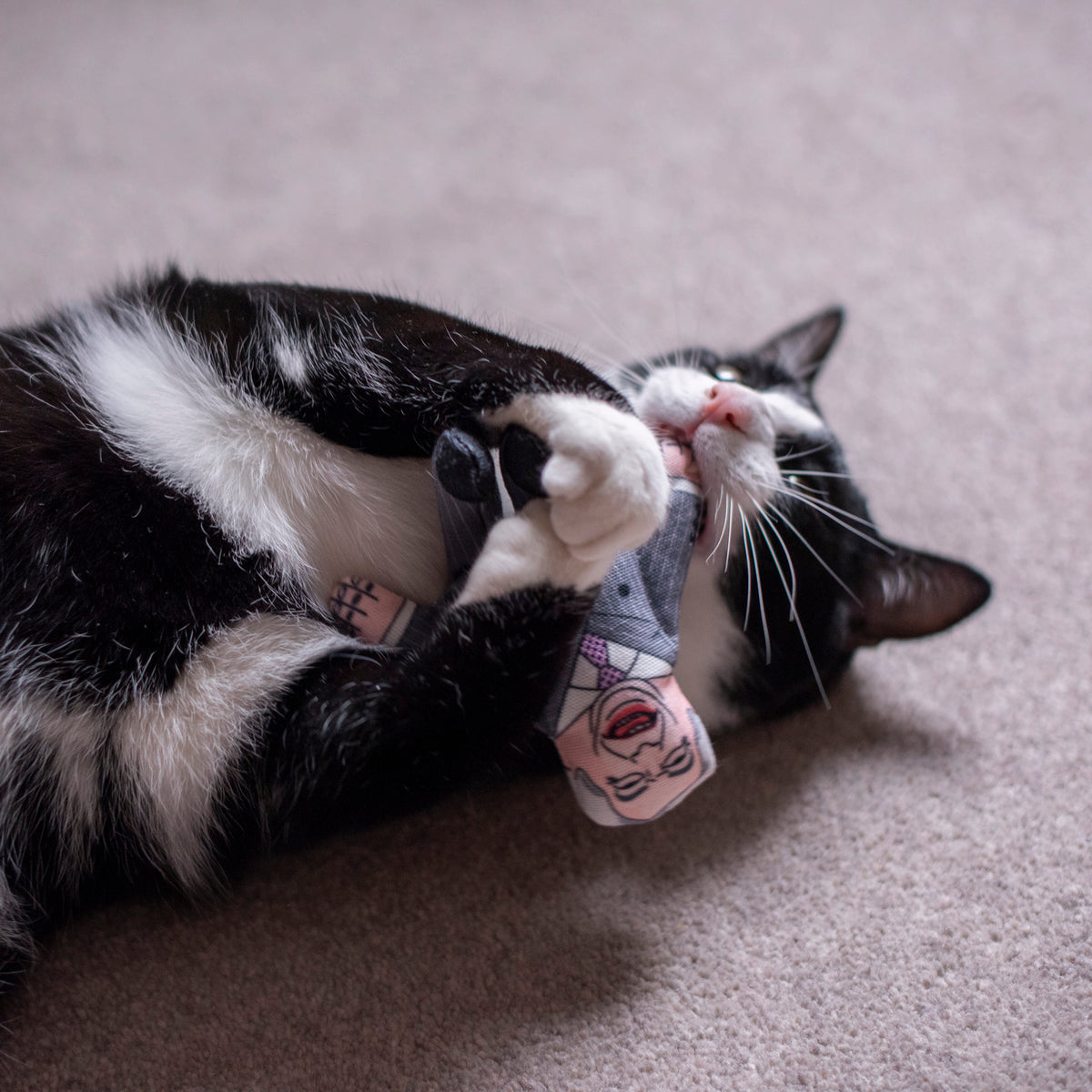 Nigel political catnip cat toy 🐱 Pet Hates Toys