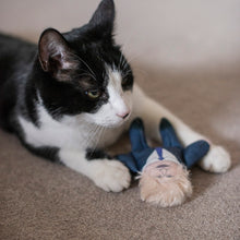 Load image into Gallery viewer, Boris Johnson cat toy