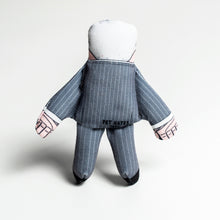 Load image into Gallery viewer, Nigel Farage cat toy