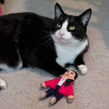 Load image into Gallery viewer, Priti Pawtel cat toy