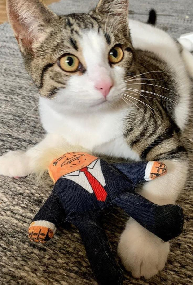 Donald political catnip cat toy 🐈 Pet Hates Toys