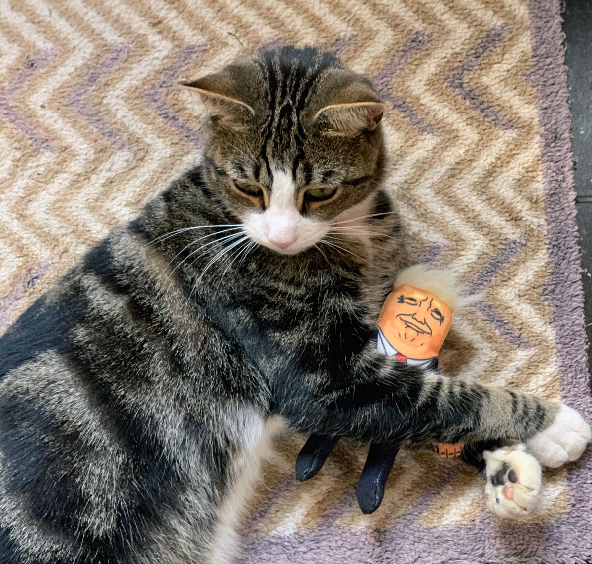 Donald political catnip cat toy 🐈 Pet Hates Toys