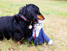 Load image into Gallery viewer, Michael dog toy