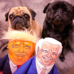 Joe biden and Donald Trump parody dog toys with two pug dogs 