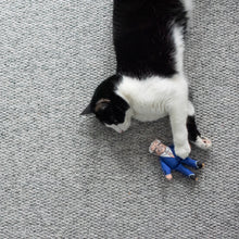Load image into Gallery viewer, Joe cat toy