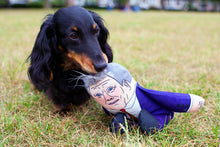 Load image into Gallery viewer, Keir dog Toy . Pre Order regular dog for delivery early November