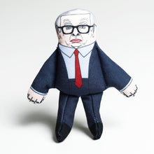 Load image into Gallery viewer, Michael Gove cat toy