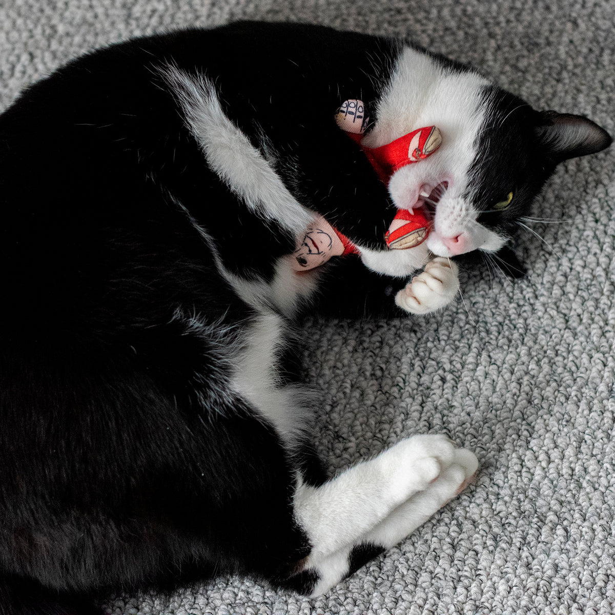 Nicola cat toy Pet Hates Toys