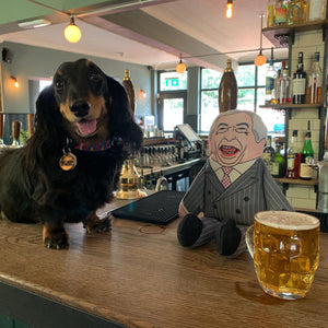 Sausage dog enjoying a pint in the local pub with a parody Nigel Farage dog toy 