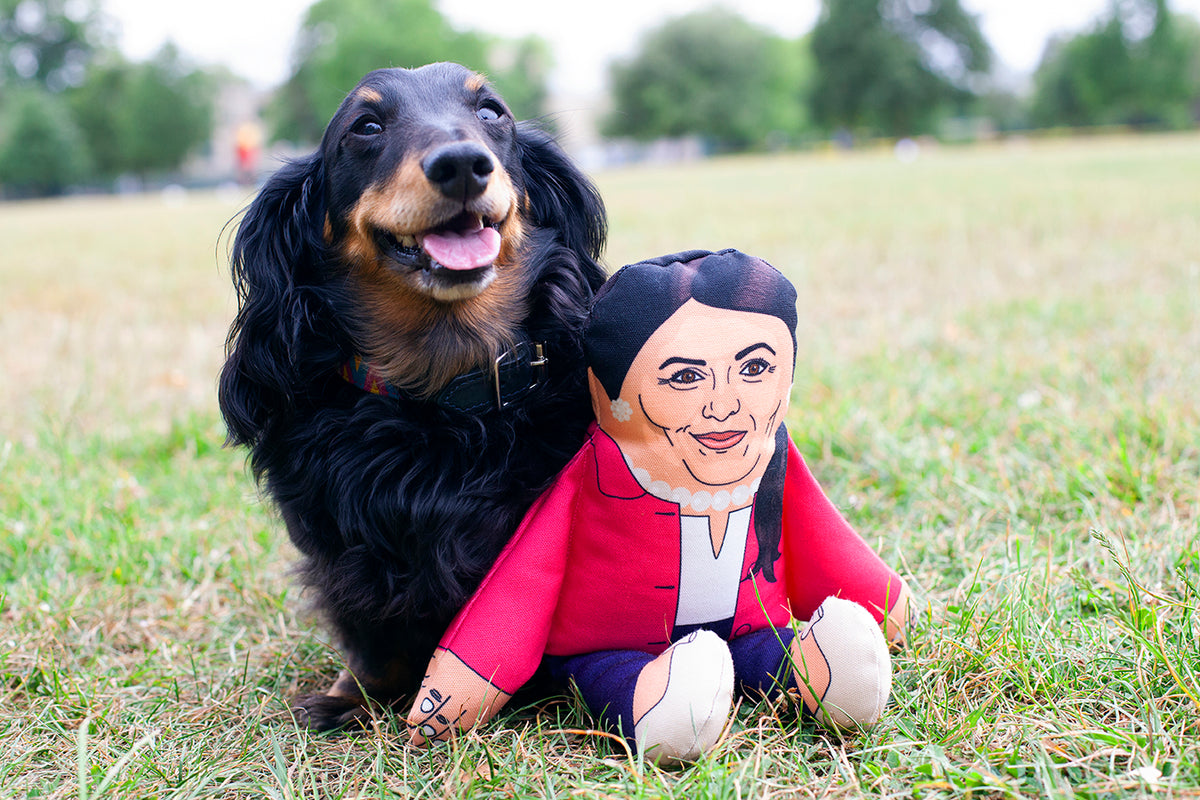 Priti Pawtel political dog toy 🐩 Pet Hates Toys