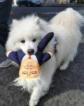 Load image into Gallery viewer, Donald dog toy
