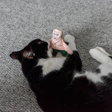 Load image into Gallery viewer, Vladimir Putin cat toy - PRE-ORDER NOW FOR DELIVERY FOR BEGINNING OF NOVEMBER