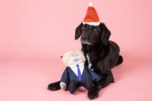 Load image into Gallery viewer, Boris dog toy