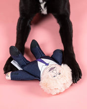 Load image into Gallery viewer, Boris dog toy in dog's paws