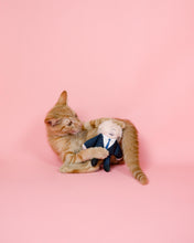 Load image into Gallery viewer, Tabby ginger cat with Boris cat toy