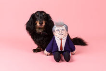 Load image into Gallery viewer, Keir dog Toy . Pre Order regular dog for delivery early November