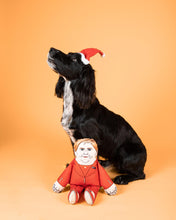 Load image into Gallery viewer, Nicola Sturgeon dog toy
