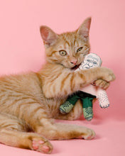 Load image into Gallery viewer, Ginger tabby biting Vladimir Putin cat toy 
