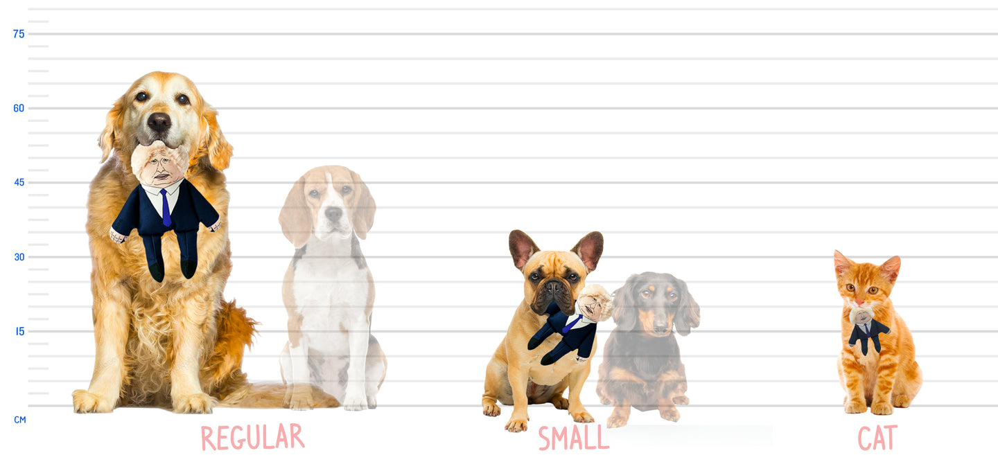 Graphic showing the relative size of the toys - a labrador holds a regular, a French Bulldog holds a small toy and a cat holds an even smaller version as a cat toy