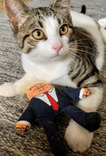 Load image into Gallery viewer, Donald cat toy
