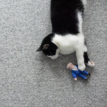 Load image into Gallery viewer, Joe cat toy
