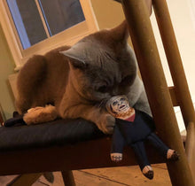 Load image into Gallery viewer, Theresa cat toy
