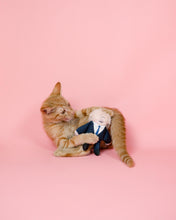 Load image into Gallery viewer, Tabby ginger cat with Boris cat toy 
