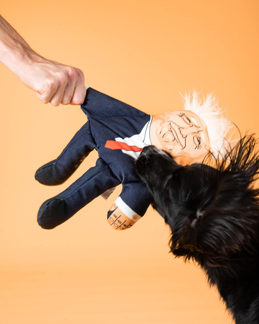 Donald Trump dog toy with black dog 