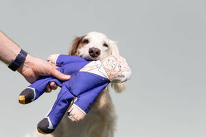Joe Biden dog toy with white and brown dog 