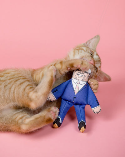 Tabby ginger kitten biting Joe Biden cat toy