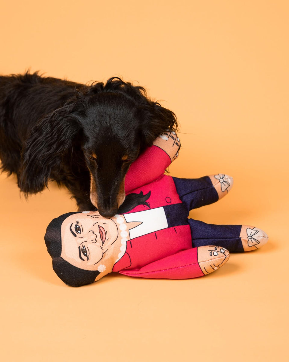 Priti Pawtel political dog toy 🐩 Pet Hates Toys