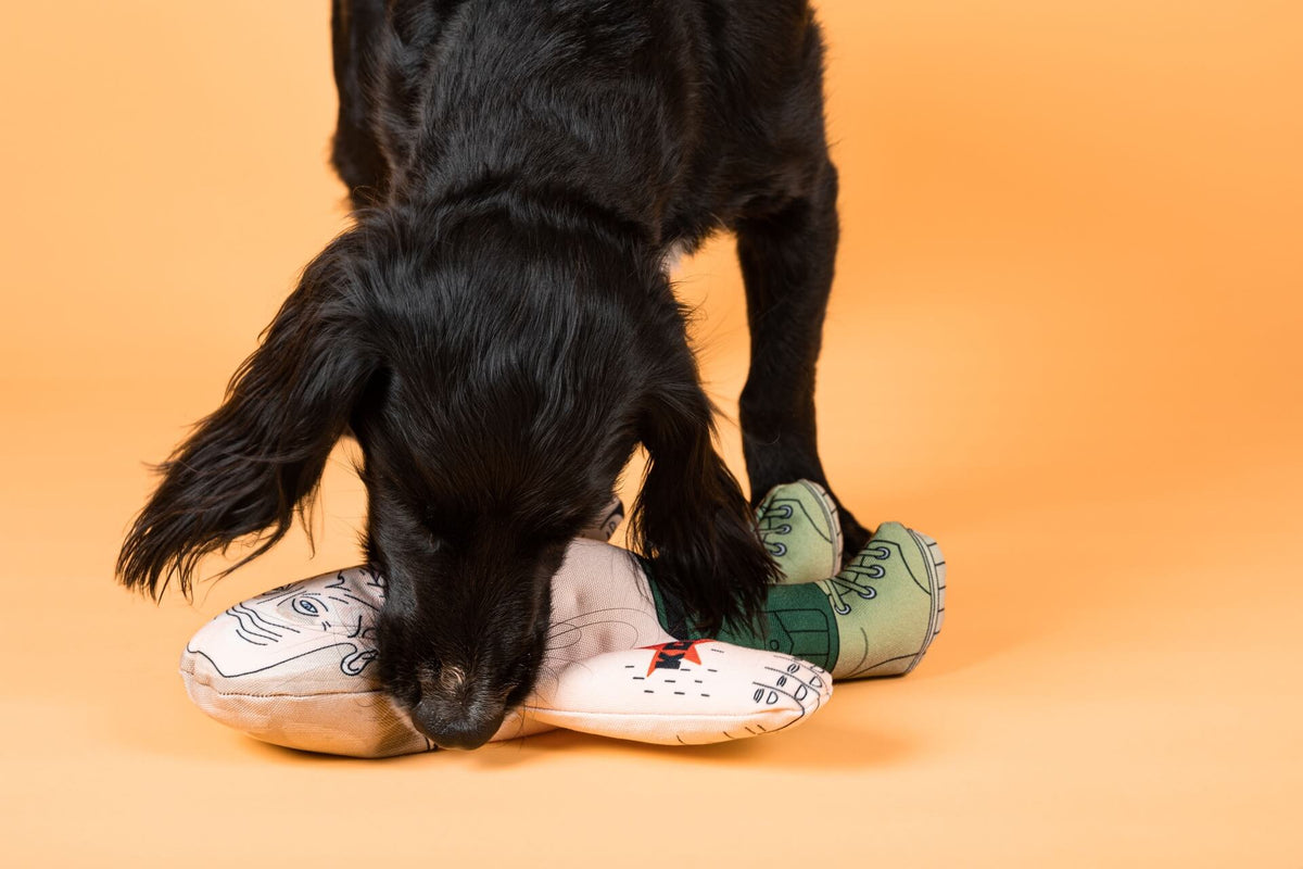 Vladimir dog toy Pet Hates Toys